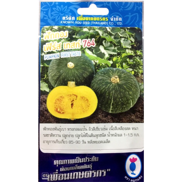 เมล็ดฟักทองญี่ปุ่น (PUNPKIN) เฟิร์ส เทส ลูกผสมพันธุ์เบา เนื้อหวานที่สุด เนื้อสีเหลืองสด คุณภาพเป็นเยี่ยม ปลูกง่าย