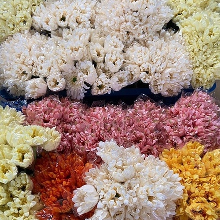 𝗝𝗨𝗠𝗕𝗢 𝗚𝗘𝗥𝗕𝗘𝗥𝗔 ดอกเยอบีร่าปลอม เยอบีร่าปลอม เยอบีร่า ดอกไม้ปลอม ดอกไม้ประดิษฐ์ ดอกไม้แต่งบ้าน พร้อบถ่ายรูป_apxgb05 - รูปที่ 2