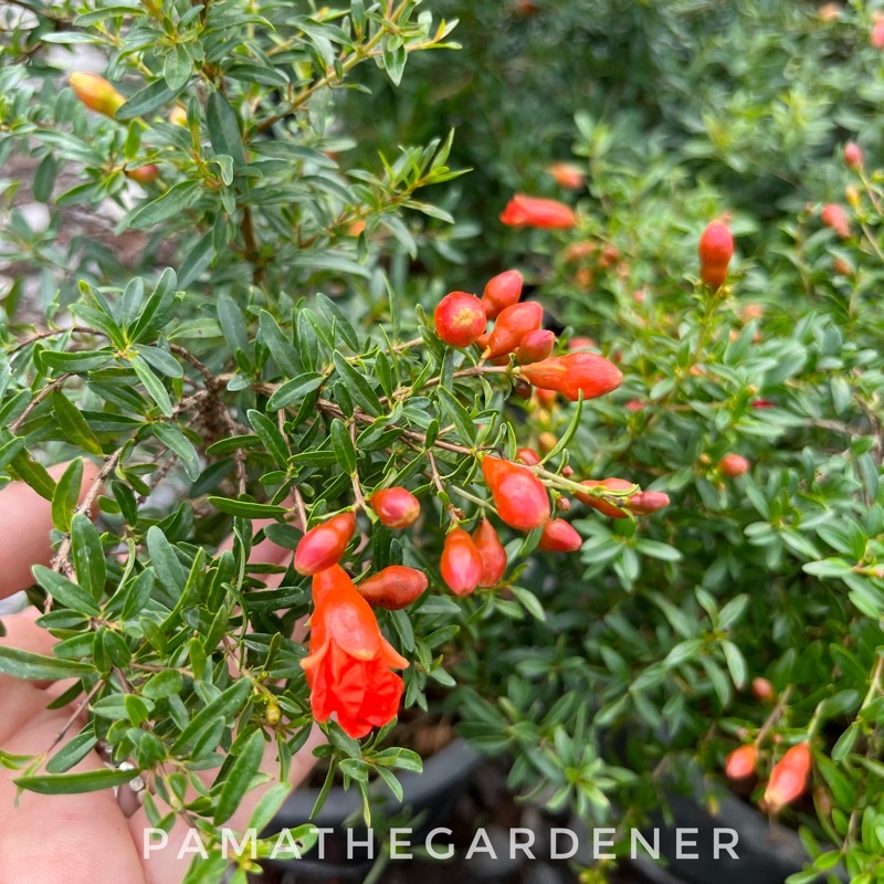 มุมมอง 2