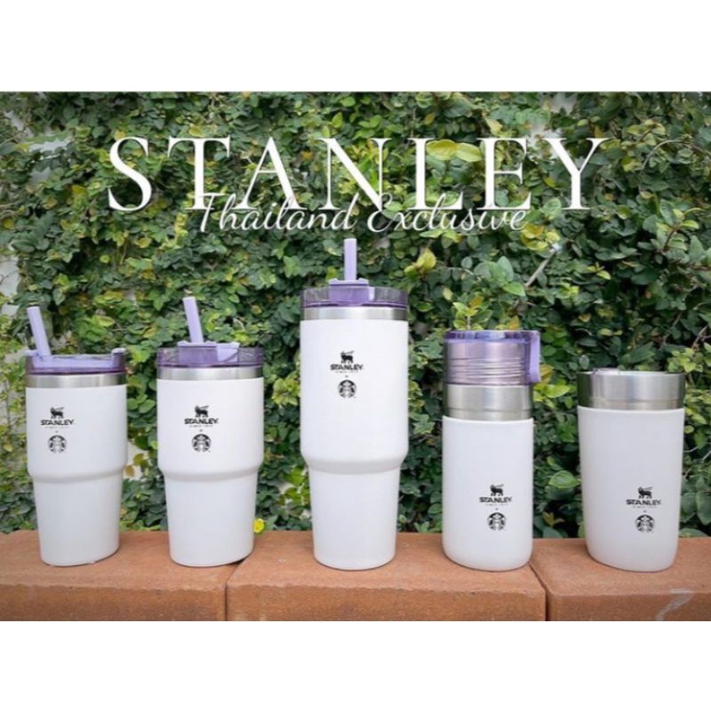 Flat Stanley Release Date