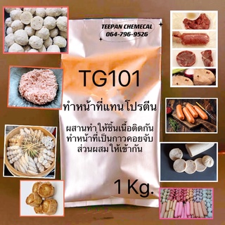 TG101 เอนไซม์(enzyme)แปรรูปใน อุตสากรรม