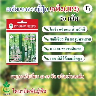 เมล็ดพันธุ์แตงกวาญี่ปุ่น เจพี 2 (JP2) 20 กรัม ลูกผสม ตราใบไม…