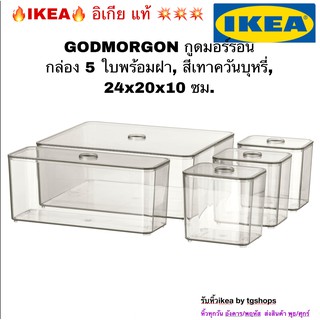 🔥IKEA, อิเกีย 💥💥  กล่อง 5 ใบพร้อมฝา, สีเทาควันบุหรี่, 24x20x10 ซม. GODMORGON กูดมอร์รอน