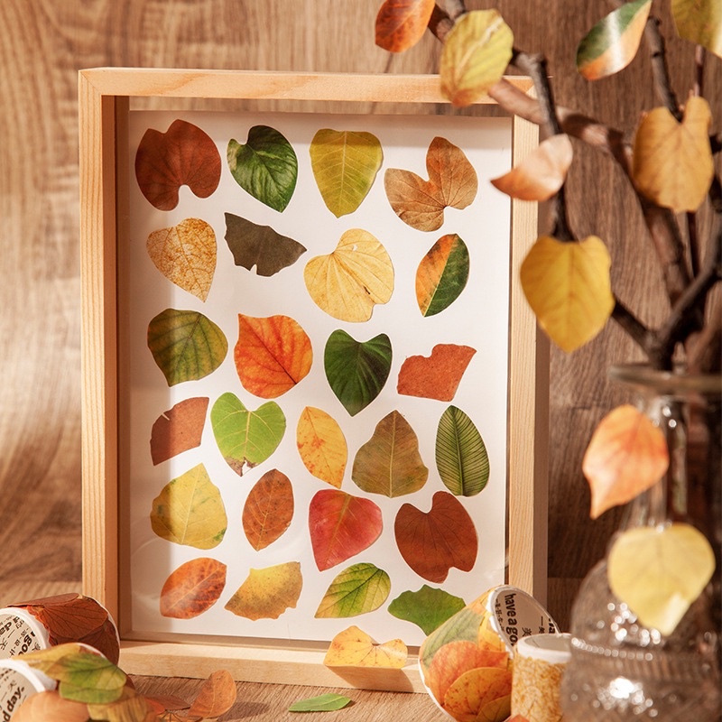 <พร้อมส่ง> สติ๊กเกอร์ม้วน ลายใบไม้ร่วง Fallen Leaves Sticker 8 แบบ 50ดวง เทปวาชิ Masking Tape