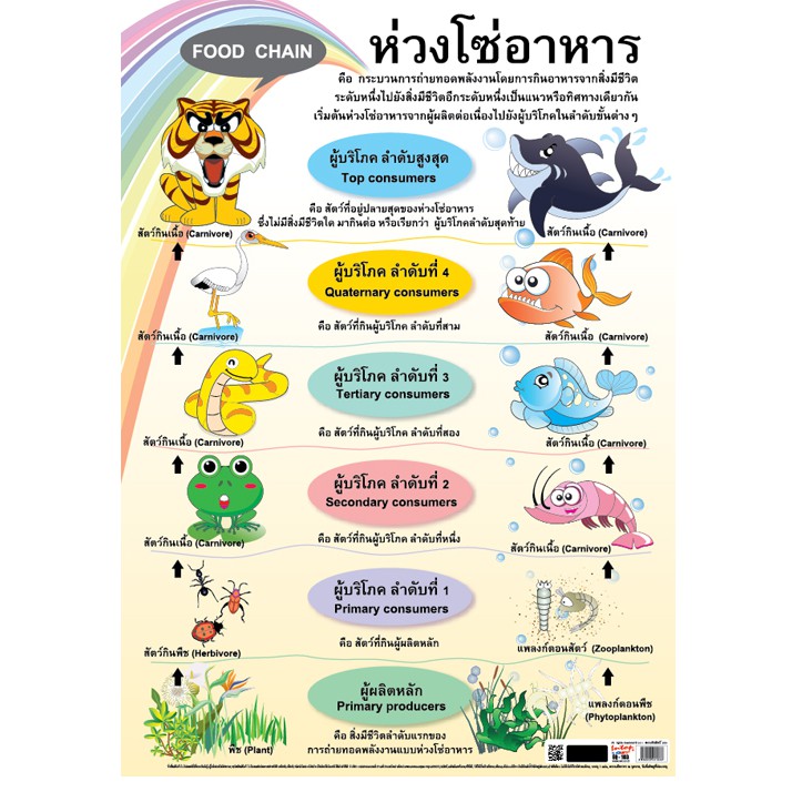 โปสเตอร เร องห วงโซ อาหาร Eq 103 โปสเตอร กระดาษ โปสเตอร ส อการเร ยนร Shopee Thailand