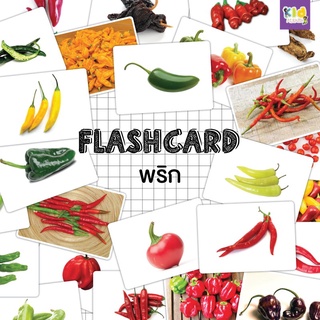 Flash card พริก (Pepper) จำนวน 25 ใบ ขนาด A5