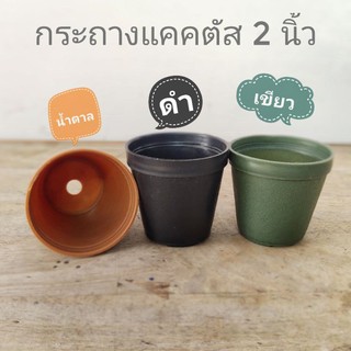 กระถางต้นไม้ กระถางแคคตัส 2 นิ้วกลม