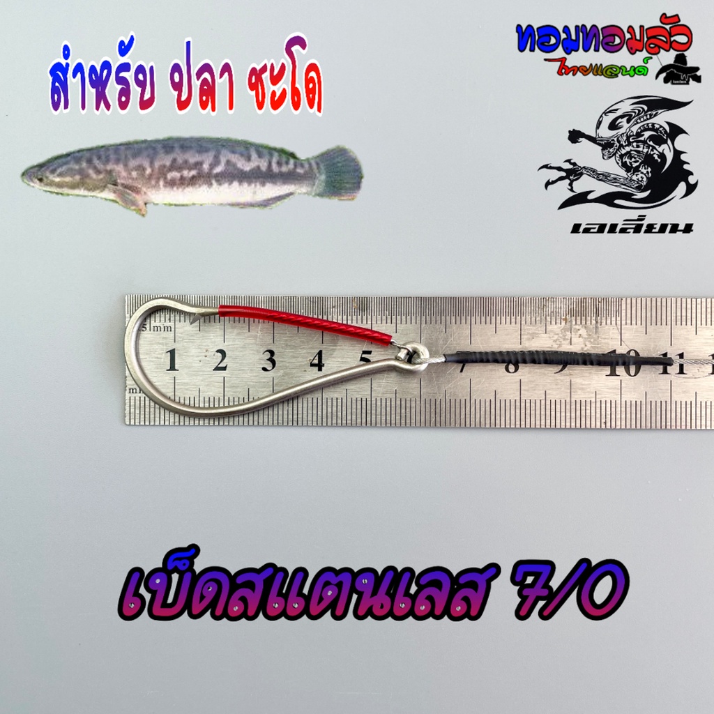 Thumbnail 7
