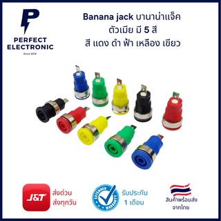 บานาน่าแจ็ค banana jack ตัวเมีย มี5สี สี แดง ดำ ฟ้า เหลือง เขียว