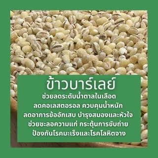 ข้าวบาร์เลย์ บาเล่ย์ สะอาด ไม่ผ่านการรมยาฆ่าแมลง 500 กรัม Barley