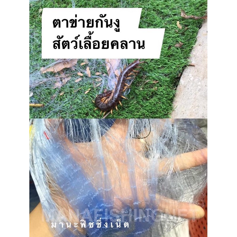ตาข่ายดักงู ตาข่ายดักสัตว์มีพิษ สูง 1 เมตร ความยาว 30 เมตร ล้อมรั้ว ล้อมบ้าน