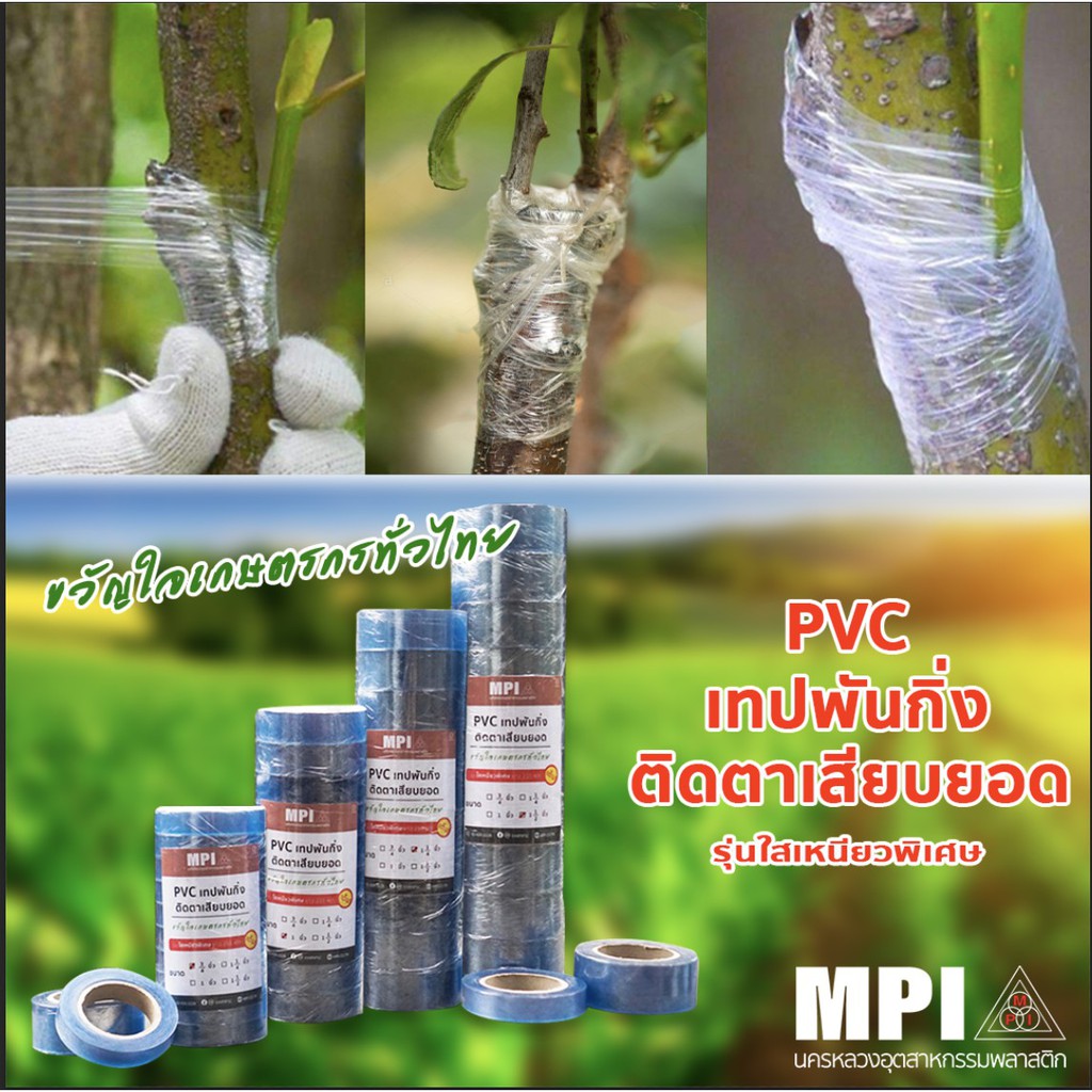 PSC เทปพันกิ่ง 3/4-3นิ้ว ยาว 210ฟุต เสียบยอด ทาบกิ่ง ขยายพันธ์ุไม้ ชำกิ่งจัดระเบียบกิ่ง(แพค5ม้วน)