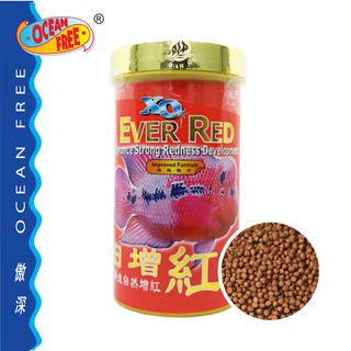 อาหารปลาหมอสี XO Ever Red สูตรเร่งสีแดง กระป๋องแดง