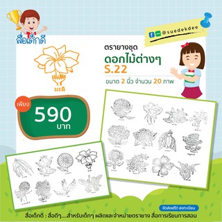 ตรายาง ชุดดอกไม้ต่างๆ ขนาด 2 นิ้ว S.22 จำนวน 20 ภาพ