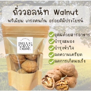 [Paws-sible] Walnut 5 ลูก วอลนัท ลูกวอลนัท ของเล่นสัตว์ฟันแทะ ขนมกระรอก ขนมชูการ์ ขนมชูก้า ขนมแฮมสเตอร์ ของเล่นแฮมสเตอร์