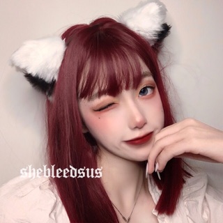 🔥Sale🔥ที่คาดผมขนหูแมว Lolita Gothic พร้อมส่ง