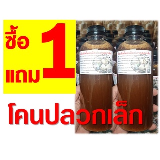 เชื้อเห็ดโคน เห็ดปลวก (ดอกเล็ก) ซื้อ 1 แถม 1 ขวด