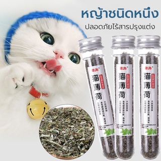 กัญชาแมว แคทนิป Catnip 45ml หลอดทดลอง สมุนไพรสำหรับสัตว์เลี้ยง คลายเครียดให้แมว (ของเล่นแมว