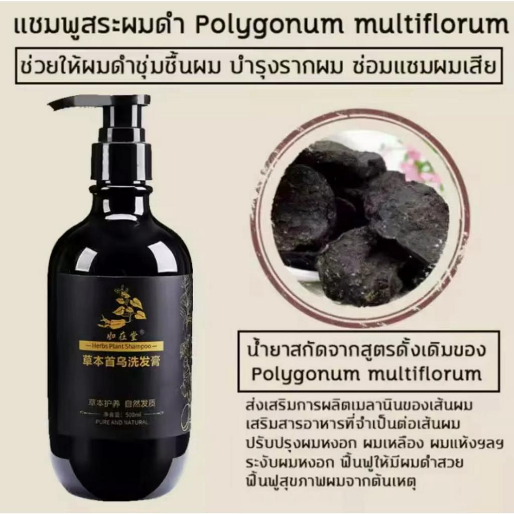 แชมพูบำรุงผม 何首乌洗发水แชมพูแก้ผมหงอก แชมพูปิดผมหงอก ยาสระผมปิดหงอก ย้อมผมปิดหงอก ขนาด 500 ml หยุดหงอก ไม ราคา ถูกที่สุด ดีลบีเคเค แกลเลอรีภาพที่ 2