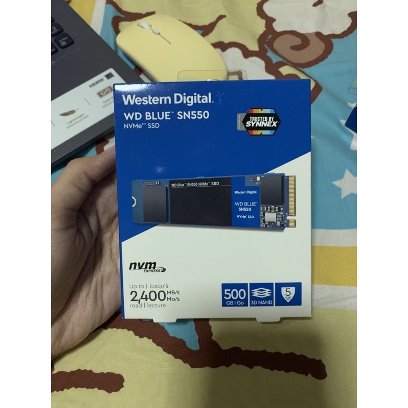 Western Digital WD BLUE SN550 - SSD