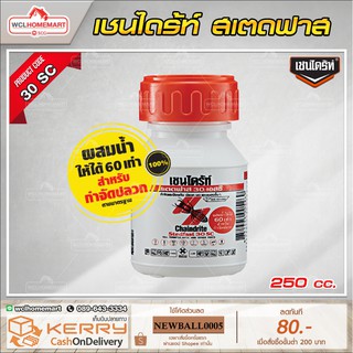 เชนไดร้ท์ (CHAINDRITE) ยากำจัดปลวก สเตดฟาส 30SC แบบน้ำ 250cc.