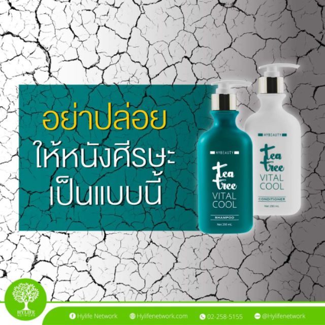 ชุดเซ็ทคู่ แชมพู+ครีมนวด สูตรเย็น HyBeauty™ #TeaTreeVitalCool #Shampoo and #Conditioner