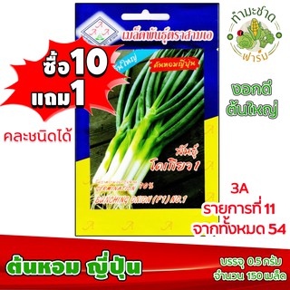 (ซื้อ10แถม1) เมล็ดพันธุ์ ต้นหอมญี่ปุ่น Bunching Onion ประมาณ 150เมล็ด 3A สามเอ ผักสวนครัว เมล็ดพันธุ์พืช เมล็ดผัก