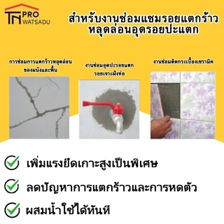 TPI ปูนสำเร็จรูป ปูนซ่อมอเนกประสงค์ ซ่อมรอยแตกร้าว ซ่อมกระเบื้อง M600 ขนาด 2 กิโลกรัม
