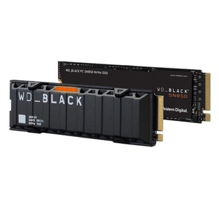 WDS100T1XHE Heatsink Model : WDS100T1XHE / SATA SOLID STATE DRIVE
