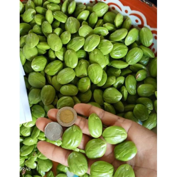 สะตอข้าวแกะสดขนาด5ขีด และสะตอชุด10ฝัก