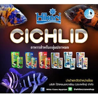 Hikari Cichlid gold ฮิคาริ ซิคลิด โกลด์ อาหารปลาหมอสี ปลาหมอ โปรตีนสูง