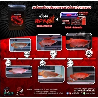 ARO PLUS วิตามินเร่งสีปลามังกร ปลาอโรวาน่า แบบผง Vitamin for Arowana ขนาด 10 กรัม