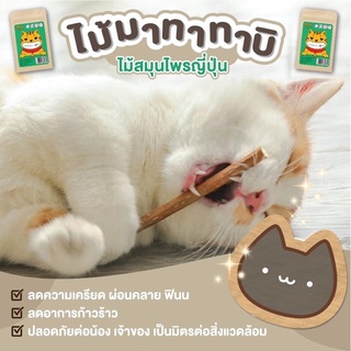 ไม้มาทาทาบิ catnip น้องแมวช่วยผ่อนคลาย ขัดฟัน ทำความสะอาด