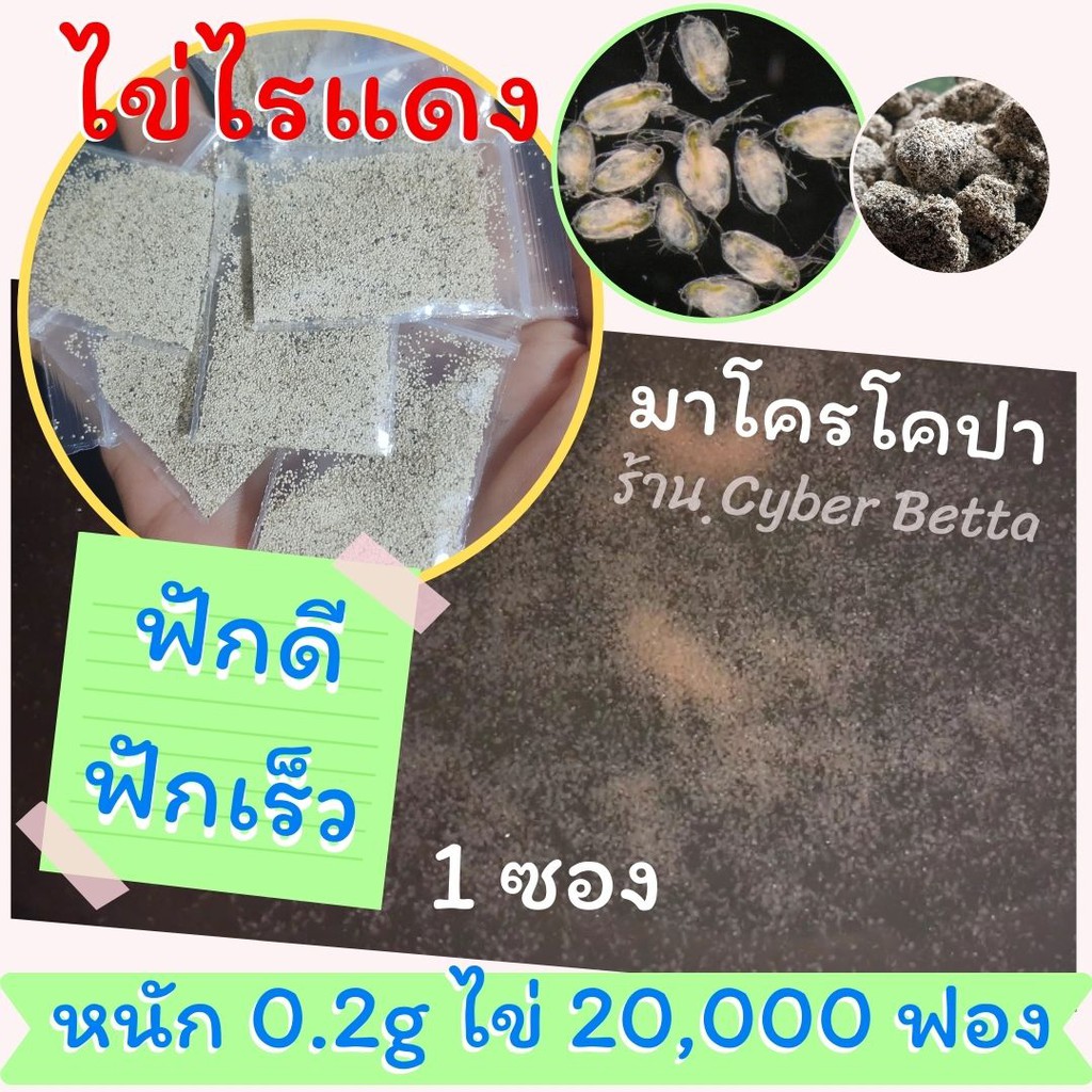 ไข่ไรแดง Moina Macrocopa 20,000 ฟอง (0.2กรัม) สำหรับเลี้ยงด้วยน้ำเขียวคลอเรลลา หรืออาหารก้อนสำเร็จรูปสำหรับไรแดงโดยเฉพาะ