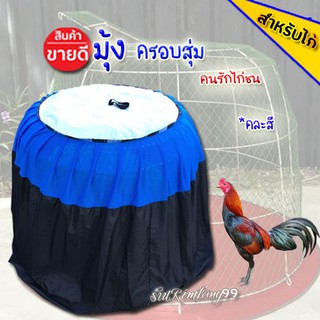 มุ้งไก่ มุ้งไก่คุณภาพดี  มุ้งกันยุงไก่ มุ้งโปร่งกลาง คละสีคละแบบ