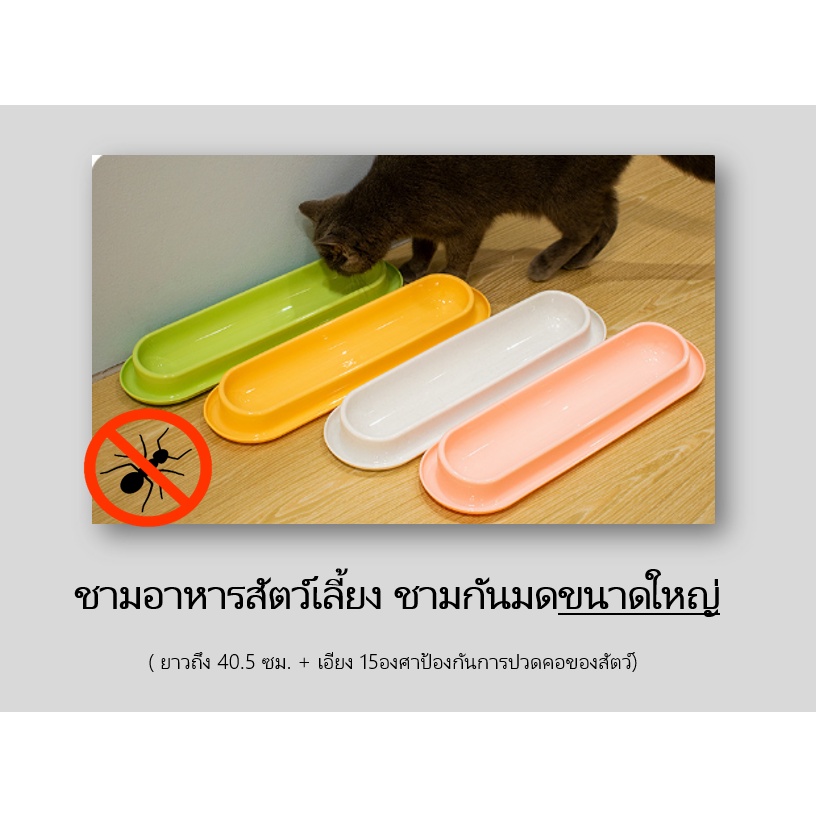 [ ABC cat ] ชามอาหารสัตว์เลี้ยง ชามกันมด ขนาดใหญ่ BL045