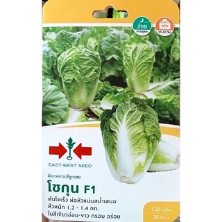 ผักกาดขาวปลี โชกุน(ศรแดง) 📌🥦หมดอายุ 28/1/2567🥦ต้นโตเร็วห่อหัวแน่นสม่ำเสมอ หัวหนัก 1.2-1.4 ก.ก ใบสีเขียวอ่อน-ขาว อวบ