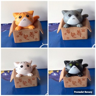 ตุ๊กตา ฟิกเกอร์ โมเดล แมวในกล่อง 1 ชุด มี 4 ชิ้น ราคา 120บาท