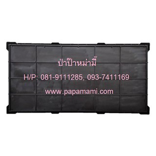 (1-5ถาด) papamami ถาดเพาะต้นอ่อน แบบ ไม่มีรู(กว้าง30ซม.xยาว60ซม.x สูง3.5ซม.)ถาดเพาะต้นอ่อนทานตะวัน ถาดเพาะต้นอ่อนผักบุ้ง