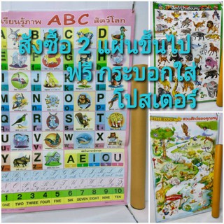 โปสเตอร์กไก่ ABC เพื่อการศึกษา โปสเตอร์กระดาษหุ้มพลาสติกอย่างดี