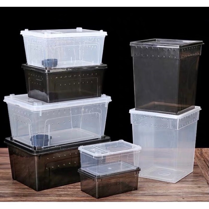 Reptile Box กล่องเลี้ยงสัตว์เล็ก สัตว์เลื้อยคลาน สัตว์เล็ก ผสมพันธุ์สดกล่อง งู แมงมุม ตุ๊กแก ฮอร์นฟรอก ตะขาบ แมงป่อง