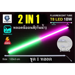 IWACHI หลอดนีออนสี ขั้วกันน้ำ 2 IN 1รุ่นใหม่ LED T8 18W สีเขียว+สีชมพู