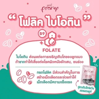 (แบบโหล)Pramy Premium Cat Pouch ❤️😸 พรามี่ อาหารเปียกเกรดพรีเมี่ยม สำหรับแมว 70g x 12 ซอง