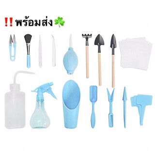 ชุดอุปกรณ์ปลูกแคคตัส💕สีฟ้า ชมพู💕 ปลูกต้นไม้ ชุดปลูก 🌱Planting tool set☘️