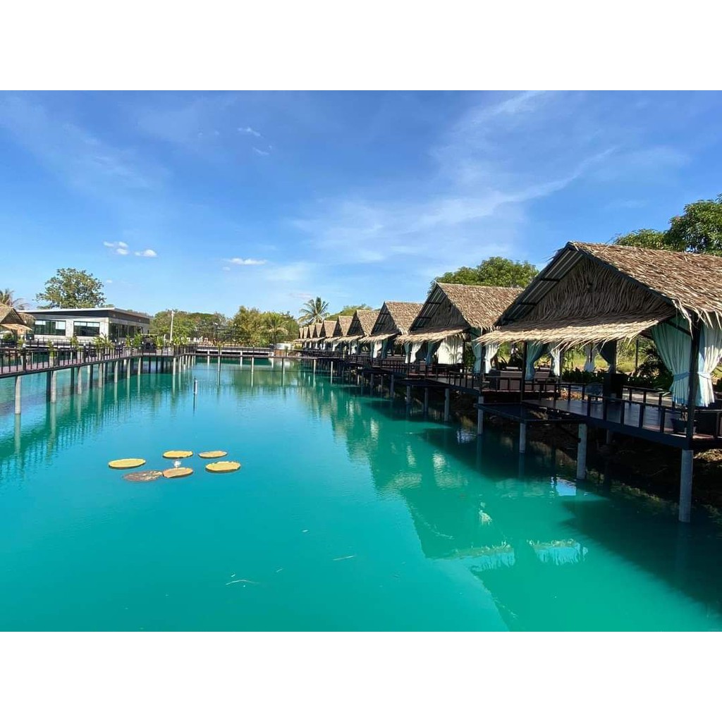 แท้ 💯 บลูซี ระวังของปลอม ฟรีถุงมืออย่างดี สำหรับคนแพ้ง่ายก็ไม่แพ้ ผงเปลี่ยนสีน้ำ - รูปที่ 5