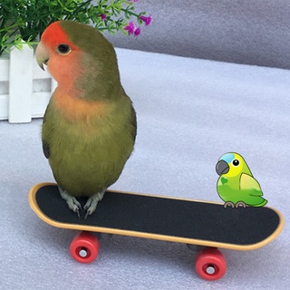 [Vip] Skateboard Toy Mini Ease Anxiety Plastic Skateboard Training Toy for Budgie