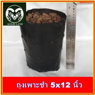 ถุงเพาะชำ 5x12 นิ้ว จำนวนประมาณ 29 ใบ น้ำหนัก ครึ่งกิโล ; ถุงเพาะกล้า ถุงปลูกผัก อนุบาลไม้ เจาะรู plastic bag for plant