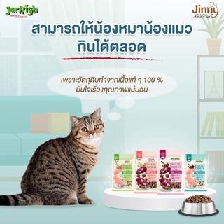 Jinny ขนมแมว Freeze Dried จินนี่ ชิ้นเนื้อแท้ 100% ขนาด 40 กรัม