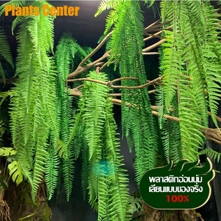 Plants Center P006 ต้นไม้ปลอม พุ่มไม้ปลอม เฟิร์นปลอม ตกแต่งบ้าน แต่งสวน ส่งที่ไทยค่ะ