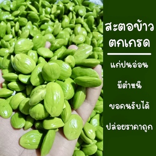 สะตอข้าวตกเกรด อ่อนปนแก่ มีตำหนิ ไม่เน่า/เสีย